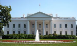 Pros and Cons of Presidential Democracy