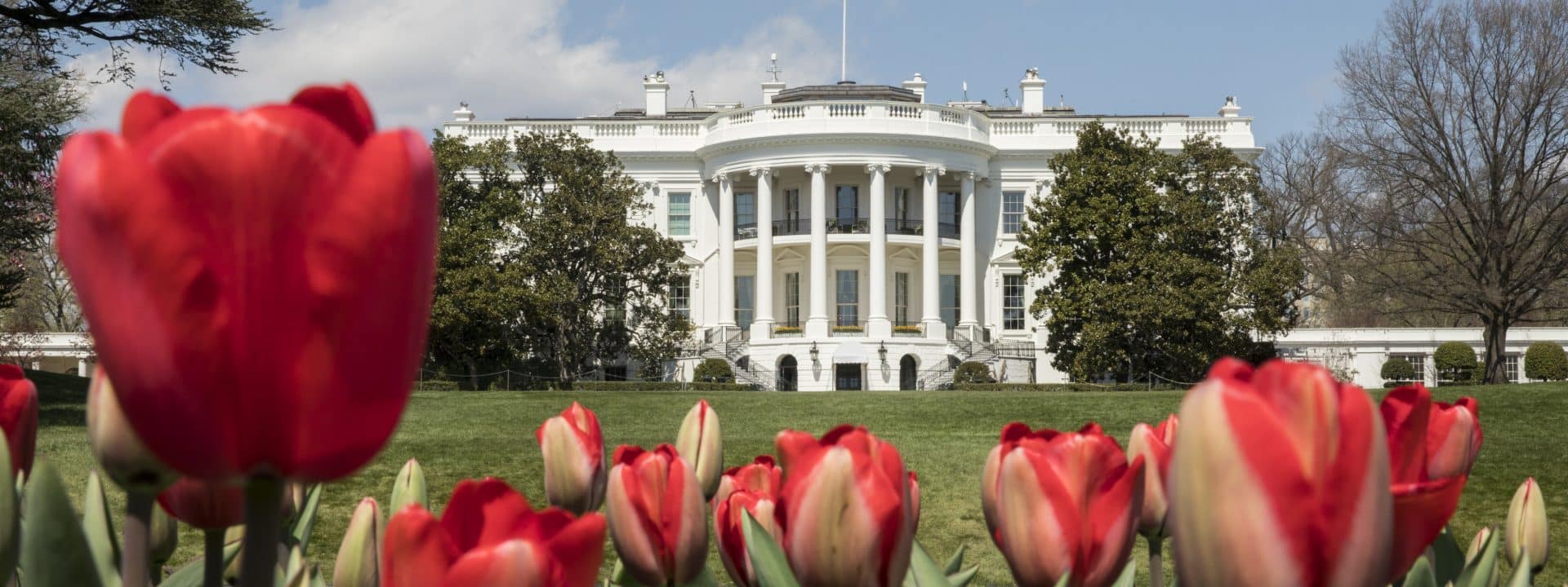 presidential democracy pros and cons