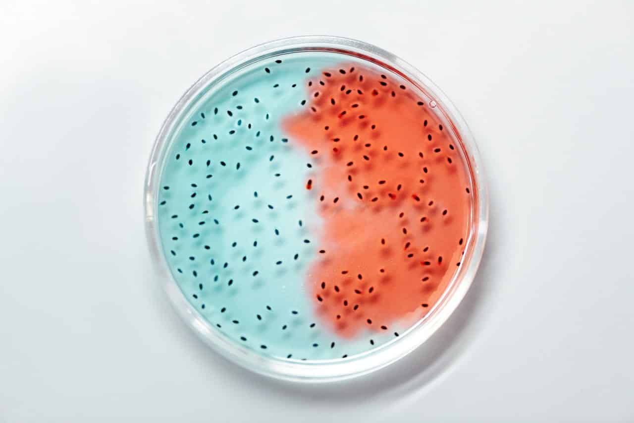 Pros and Cons of Cloning