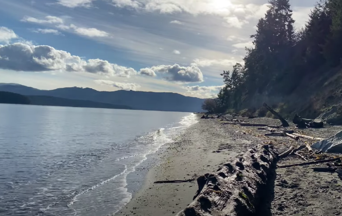 Pros and Cons of Living in Sequim WA