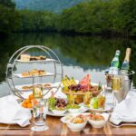 advantages and disadvantages of a jack plate