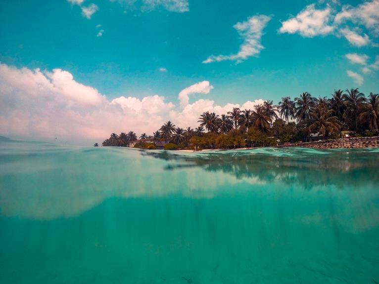 advantages and disadvantages of pristine blue