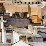benefits and drawbacks of white roofs