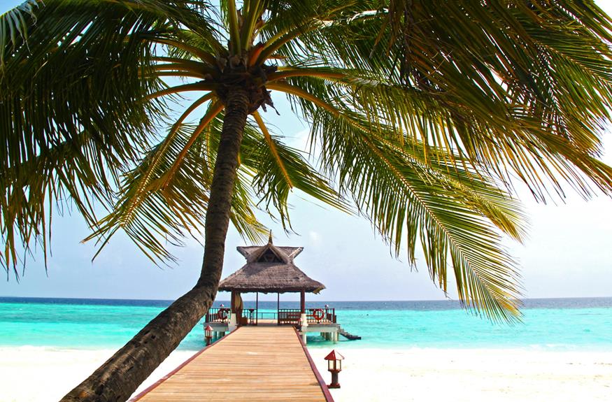 evaluating dream vacations franchise