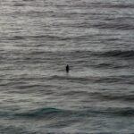 evaluating electromagnetic wave advantages