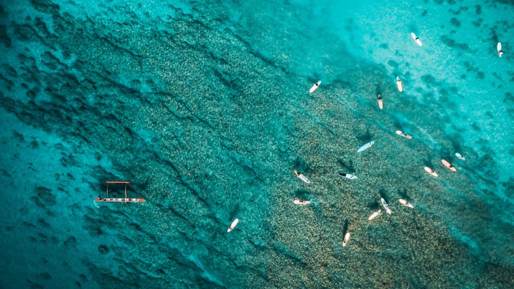 tourism impact on great barrier reef