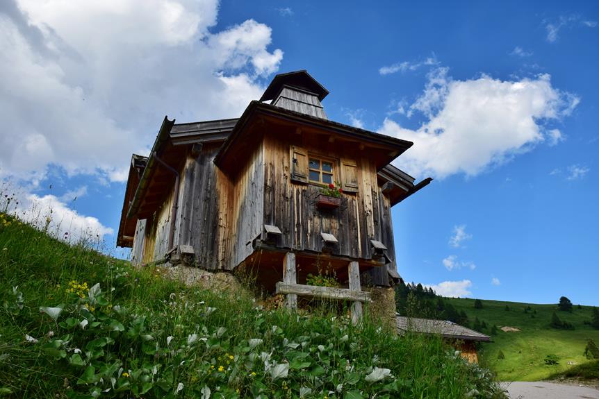 advantages and disadvantages of cabin ownership