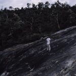 advantages and disadvantages of lycanthropy