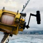 advantages and disadvantages of telescopic fishing rod