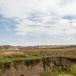 benefits and drawbacks of diatomaceous earth