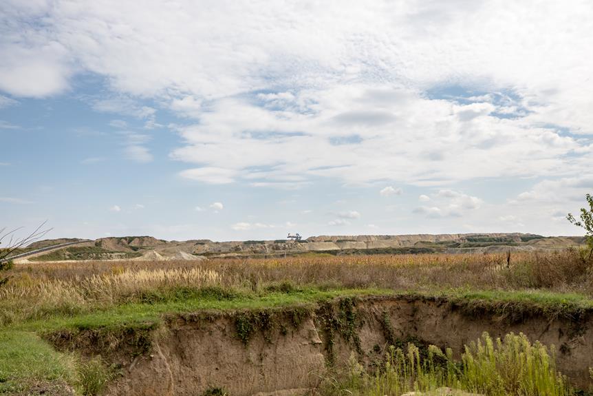 benefits and drawbacks of diatomaceous earth