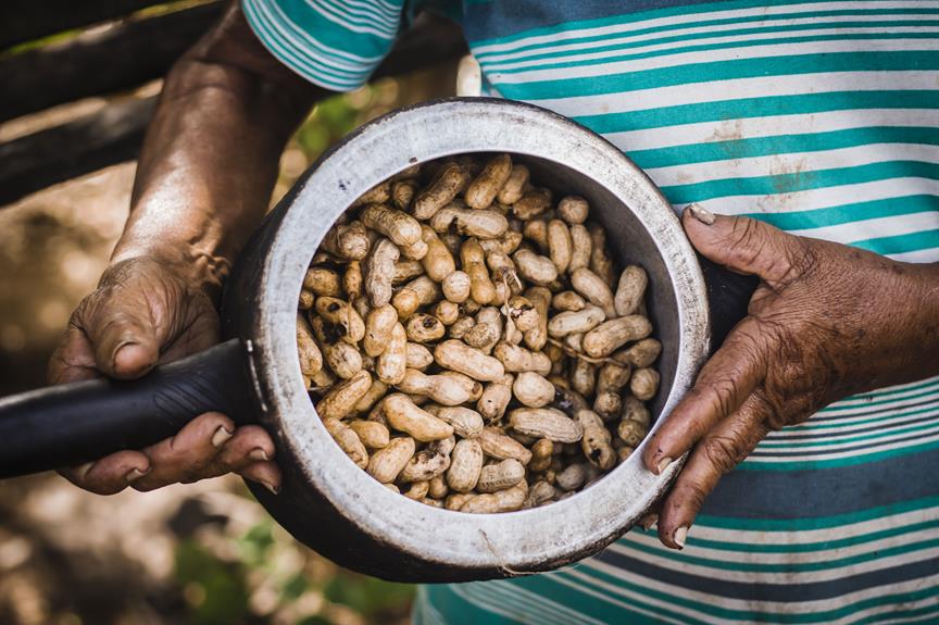 eating peanut shells analysis