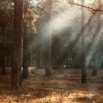 evaluating gamma ray benefits