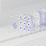 evaluating the ward system