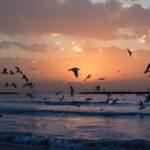 living in israel weighing advantages and disadvantages