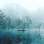 identification of common pond worms